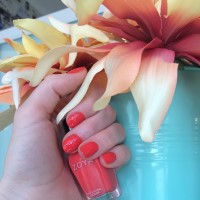 zoya nail polish and instagram gallery image 2